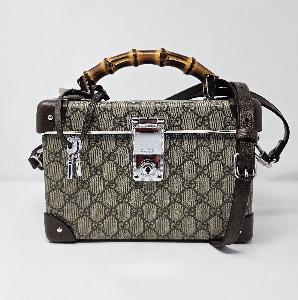 Gucci GG Globe Trotter Vanity Bamboo Trunk Bag Box Monogram Silver Brown Case IT